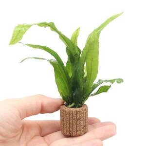 ijCt}`ij~N\E@vevXi5j