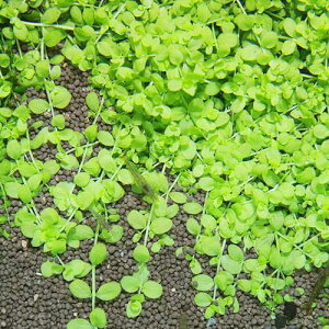 ijj[[Wp[OXitji_ji10{j