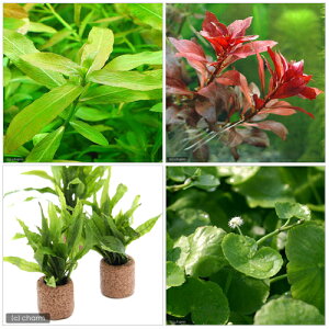 ijrMi[3_Zbgitj{Ct}`ij~N\E@vevX@i[i1jitj