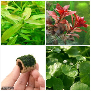 ijrMi[3_Zbgitj{Ct}`ijEB[Xi_ji1jitj