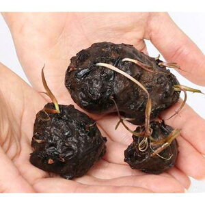 ijiV肠j^Cjt@@i_ji5j