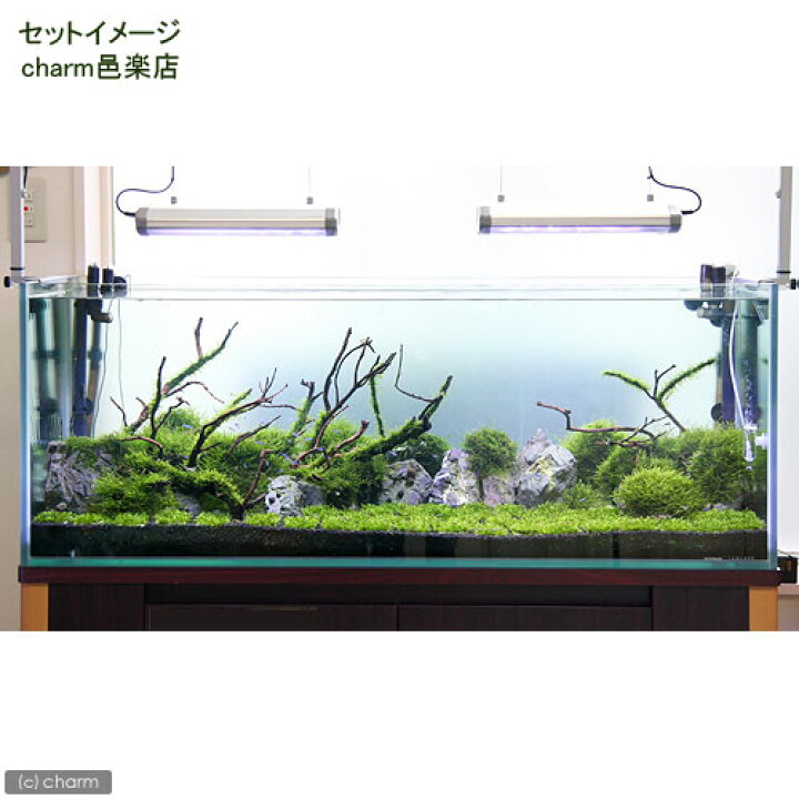 取寄品 スドー ペット用品 リシアベース 水槽用具 ペットグッズ 水草育成 M