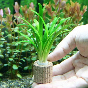 ijCt}`ijsO~[`F[TW^Aitji_ji2j