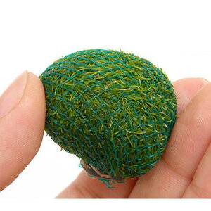 ijā@VA{[itji_ji3j@kCEBq֗vۉ