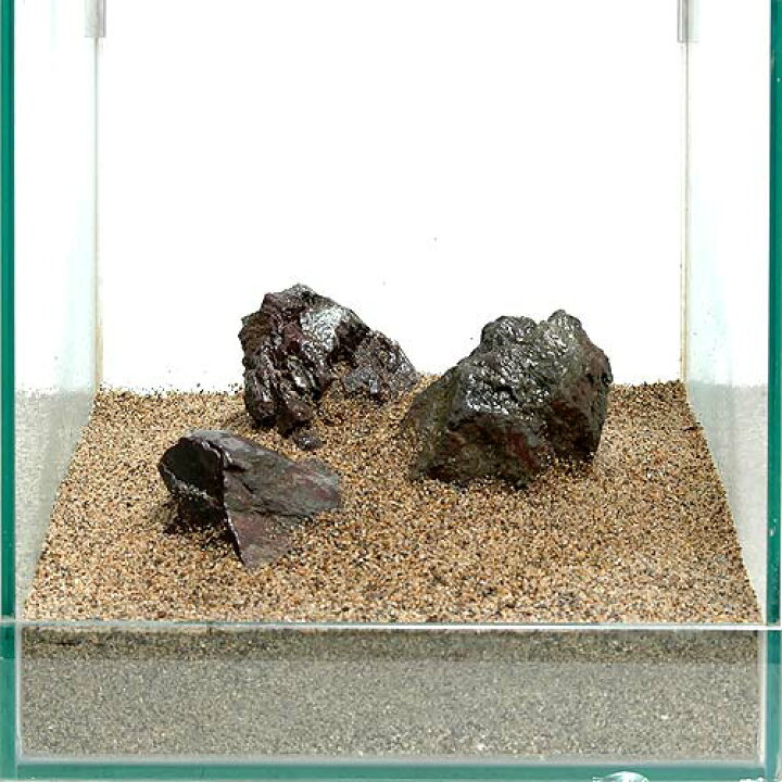 楽天市場 水草 ３０ｃｍ水槽用 草原風レイアウト ヘアーグラスショート 風山石 素材セット 水上葉 本州四国限定 Charm 楽天市場店