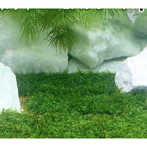 ij琬ρ@ăEB[X@v[gitji_ji1j