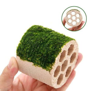 ijā@njJVF^[@ăEB[Xitji_ji3j