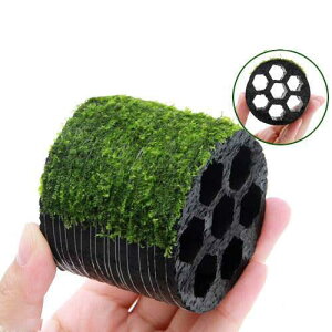 ijā@njJVF^[ubN@ăEB[Xitji_ji1j