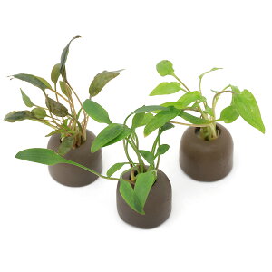 ij[ICgOiO[j܂NvgRlitji3j