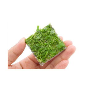 ijā@I[XgA@m`h@^Citji_ji1j