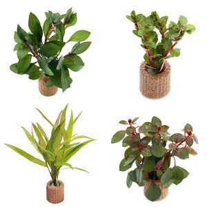 ijCt}`ij܂Ԍn@1itji_ji1j