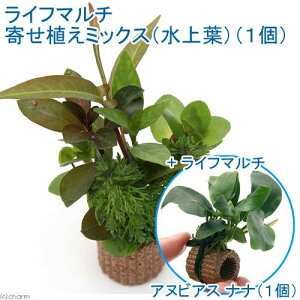 ijCt}`ij2_Zbgi񂹐A~bNX{AkrAX@iiji1Zbgj