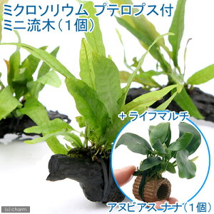 ij~N\E@vevXt@؁@SSTCYi1{j{Ct}`ijAkrAXii