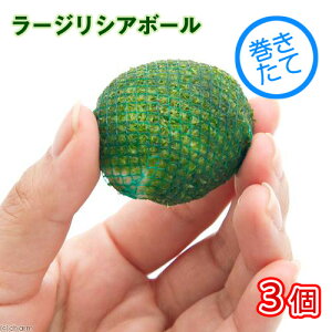 ijā@[WVA{[i_ji3j@kCEBq֗vۉ