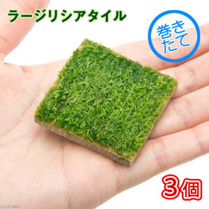 ijā@[WVA^Ci_ji3j@kCEBq֗vۉ