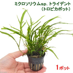 ij~N\EspDgCfgigsJ|bgji1|bgj