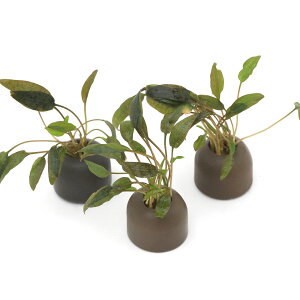 ij[ICgOiO[jNvgRl@EFeB[@~Ii3j