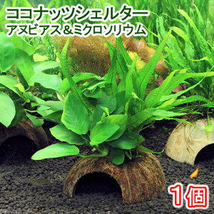 ijRRibcVF^[@AkrAXii~N\EvevXi1j