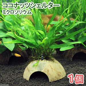 ijRRibcVF^[@~N\E@vevXi1j