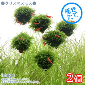 ijā@NX}XX@o[i_ji2j