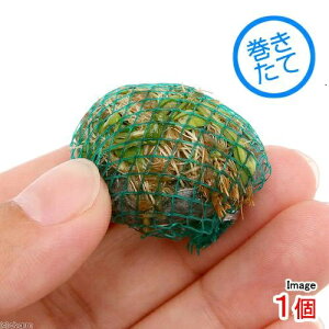 ijā@~bNX{[iwAV[{Ob\XeBO}jitji3j