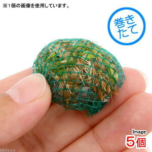 ijā@~bNX{[iwAV[{Ob\XeBO}jitji5j