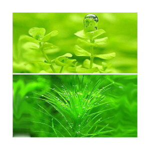 ij[Wp[OXi10{j{}_KXJGVXitji_ji5{j