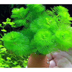 ij_JE@^Rc{~j~j@J{oi1j