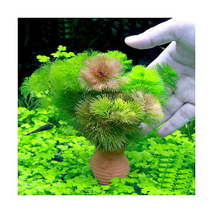 ij_JE@^Rc{~j~j@J{o~bNXi1j