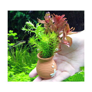 ij^Rc{~j~j@񂹐A~bNXitji_ji1j