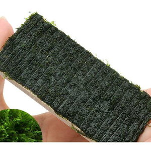 �i�����j�������ā@�E�H�[�^�[�t�F�U�[�@�v���[�g�i�����t�j�i���_��j�i3�j