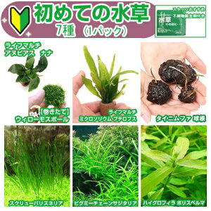 ij߂Ă̐@7i1pbNj{̑OɁ@1gi2Lpjt@{Bl