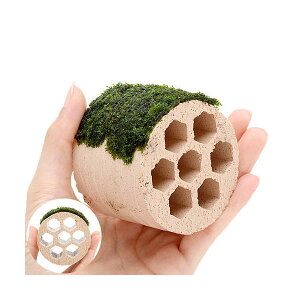 ijā@njJVF^[@XspDYi_ji1j