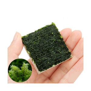 ijā@nlSPspDJ[Y@^Citji_ji1j