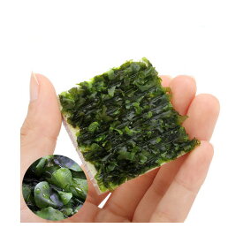 （水草）巻きたて　モスファン　タイル（1個）