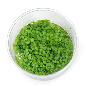 ijgD|{@j[[Wp[OXi_ji1Jbvj@kCEBq֗vۉ