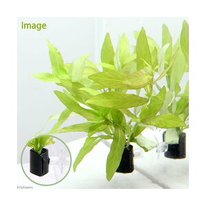 ijnCOtB@|Xy}@with@AJi_ji1j