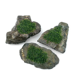 ijā@v~AO[X@RSSTCYi8cmȉjitji_ji3j