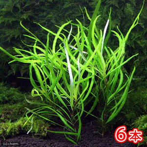 ijevvg@i[[titji_ji6{j