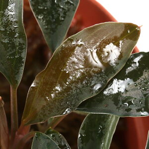 ieEjt^hAspDbhi[@2022ChlVAցi1|bgj@kCEBq֗vۉ