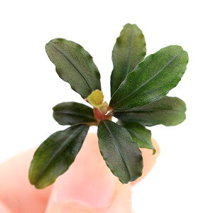 ijuZt@hspDJvAXuEj[iցjitji1j@kCEBq֗vۉ