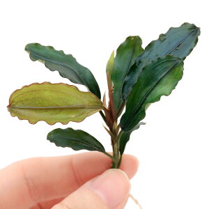 ijuZt@hspDnfXiցjitji1j@kCEBq֗vۉ