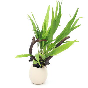 ijGbOv^[@}؁@~N\E@vevX@\[h[titji1j