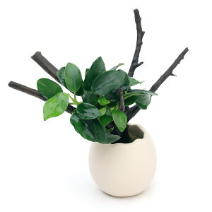 ijGbOv^[@}؁@AkrAXiiv`itji1j