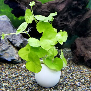 ijGbOv^[@A}]`hOTitji1j