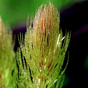 ij}c@AE{[`^[j[Yi_ji3{j