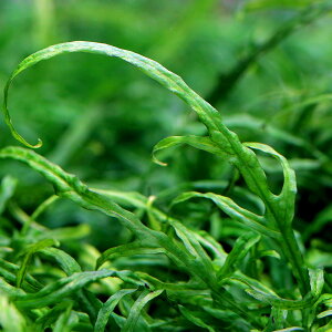 ij~N\EspDWEGeB}EYitji_ji3j