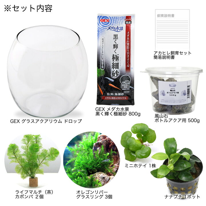 楽天市場 水草 ｇｅｘ グラスアクアリウム ドロップ 飼育セット 本州四国限定 Charm 楽天市場店