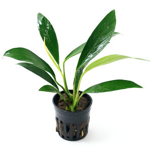 y12^5zIm21I1ő100@ijAkrAX@oe[@varDOui1|bgj