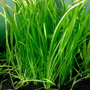 ijoXlA@GN^@fCc[i_ji3j